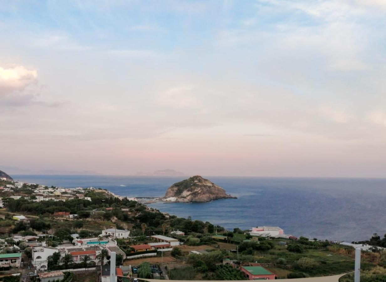 Villa Eleonora, Un Angolo Di Paradiso Ad Ischia Sant'Angelo  ภายนอก รูปภาพ