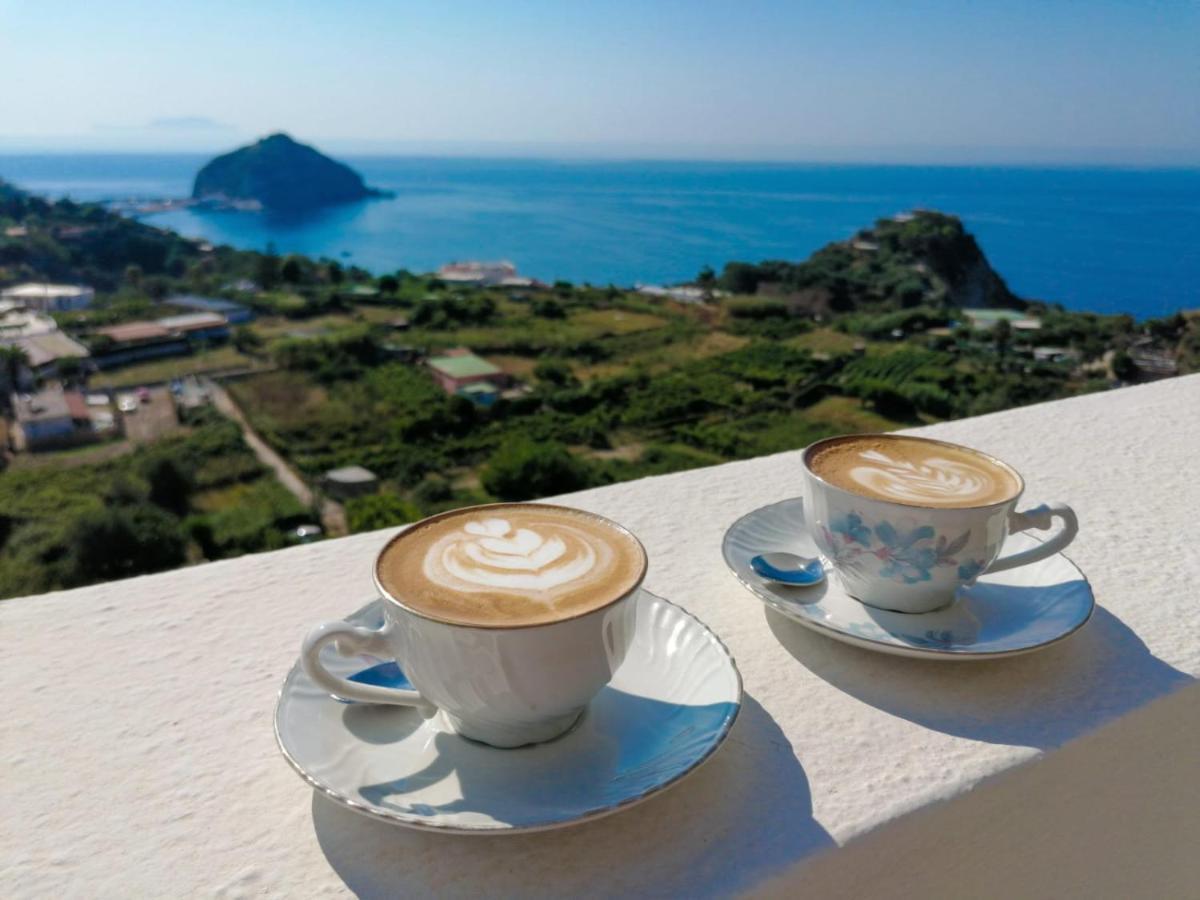 Villa Eleonora, Un Angolo Di Paradiso Ad Ischia Sant'Angelo  ภายนอก รูปภาพ