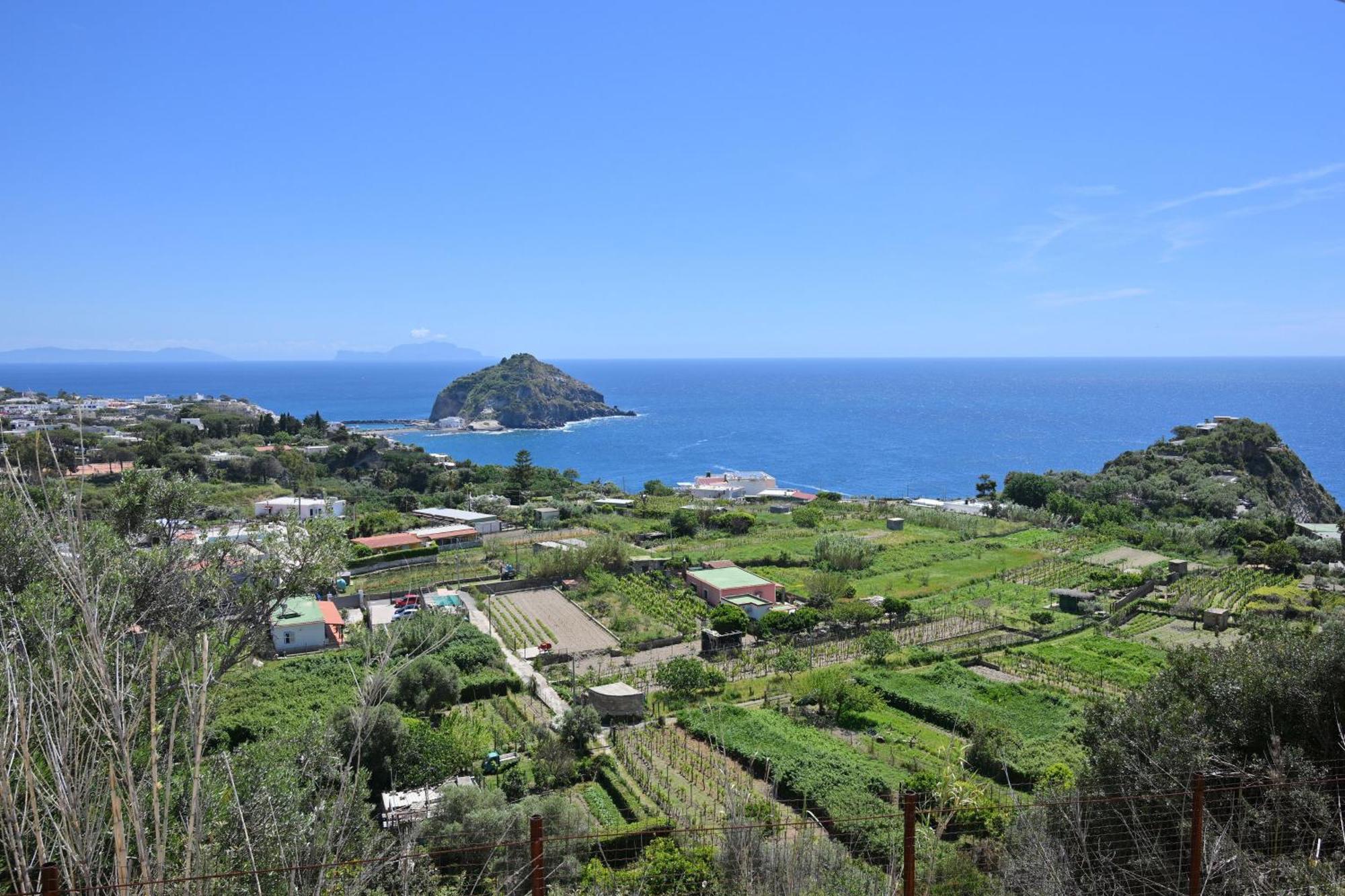 Villa Eleonora, Un Angolo Di Paradiso Ad Ischia Sant'Angelo  ภายนอก รูปภาพ