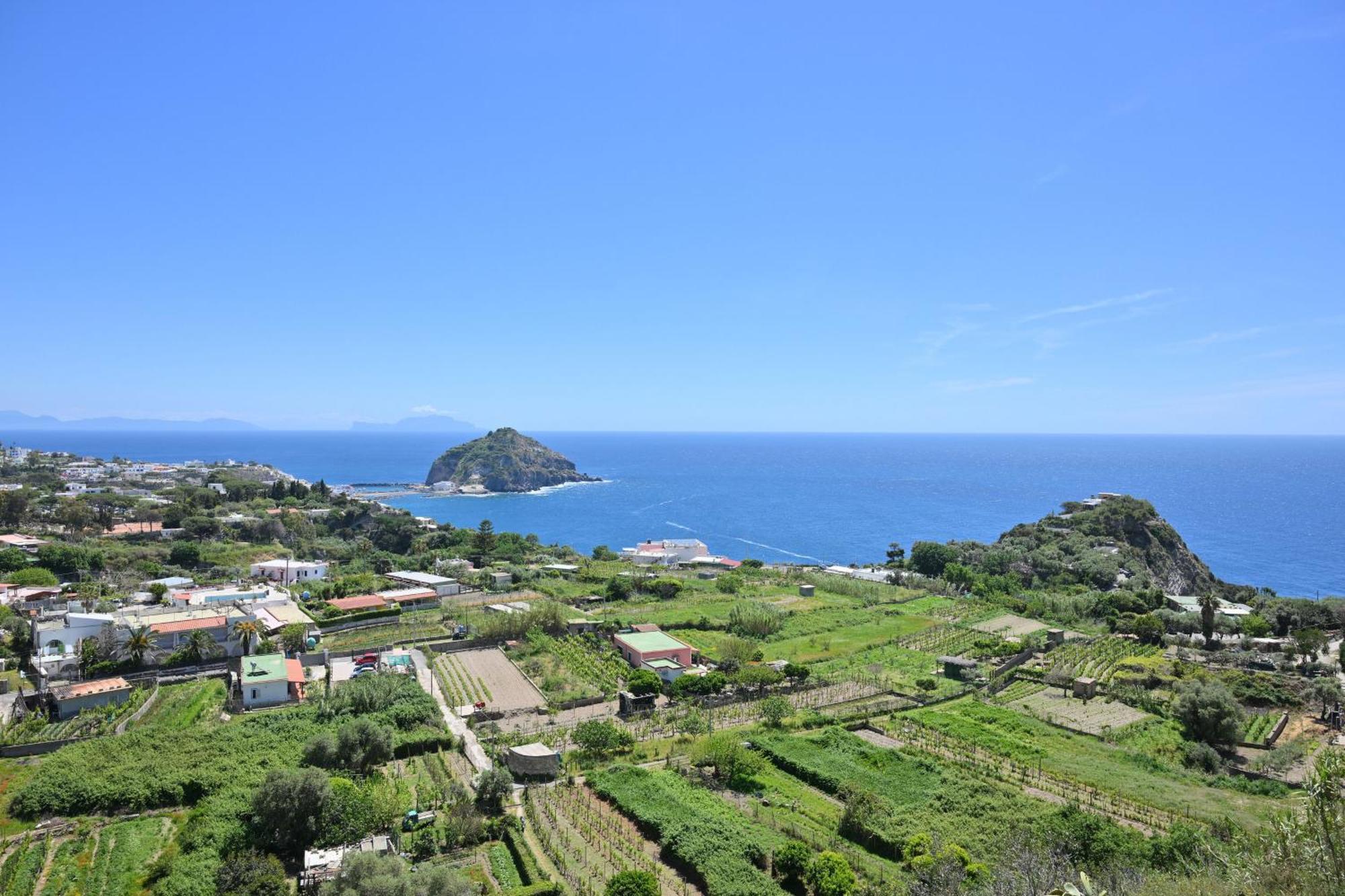 Villa Eleonora, Un Angolo Di Paradiso Ad Ischia Sant'Angelo  ภายนอก รูปภาพ