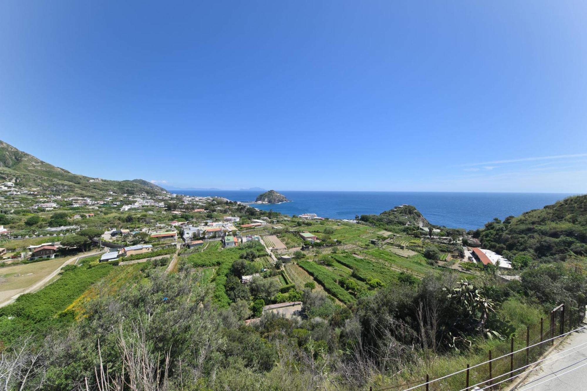 Villa Eleonora, Un Angolo Di Paradiso Ad Ischia Sant'Angelo  ภายนอก รูปภาพ