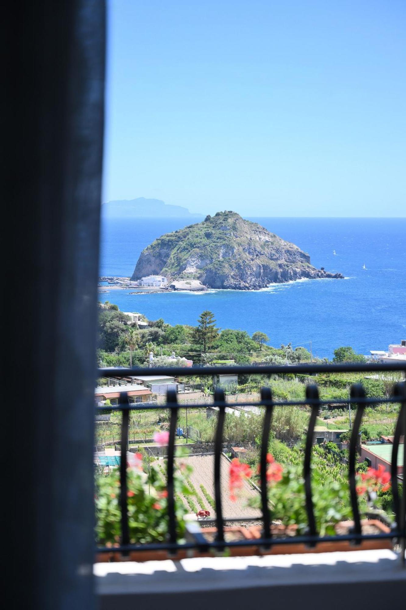 Villa Eleonora, Un Angolo Di Paradiso Ad Ischia Sant'Angelo  ภายนอก รูปภาพ