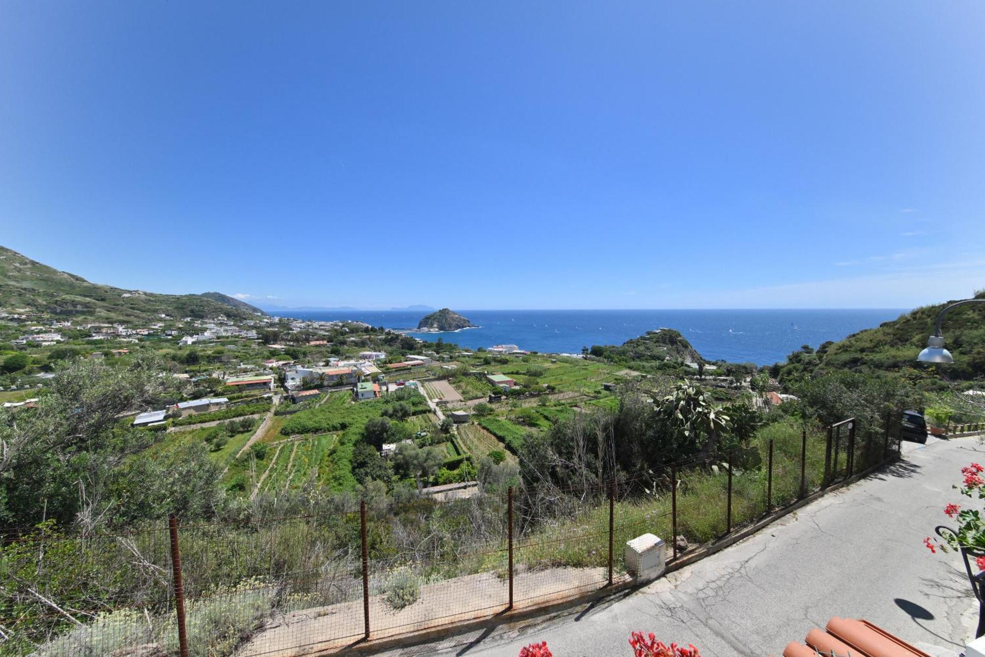Villa Eleonora, Un Angolo Di Paradiso Ad Ischia Sant'Angelo  ห้อง รูปภาพ