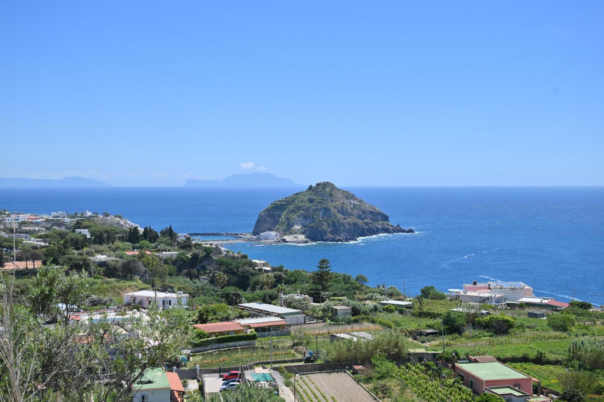 Villa Eleonora, Un Angolo Di Paradiso Ad Ischia Sant'Angelo  ห้อง รูปภาพ
